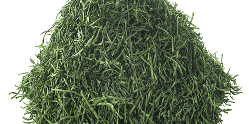 Grass Clippings Resized